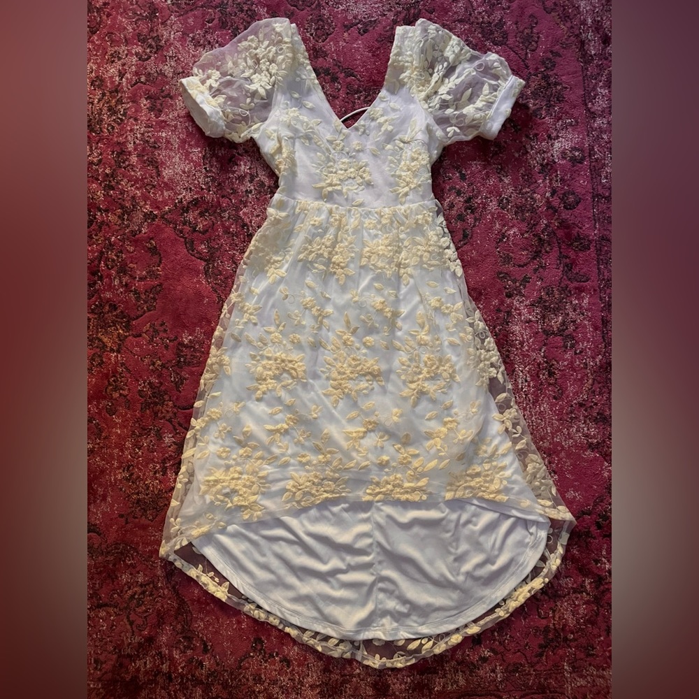 Lulus Embroidered Dress